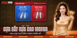 Đá gà cựa sắt cựa dao May88 phân biệt cựa sắt mũi nhọn cong với cựa dao lưỡi mỏng gắn chân chiến kê