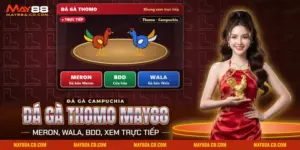 Đá gà Thomo May88 hiện hai chiến kê trên sới trong khung xem trực tiếp cùng ba cửa Meron, BDD, Wala